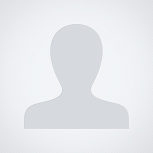 MICHAEL J. SKIPWORTH